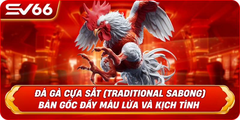 Đá Gà Cựa Sắt (Traditional Sabong) - Bản Gốc Đầy Máu Lửa Và Kịch Tính
